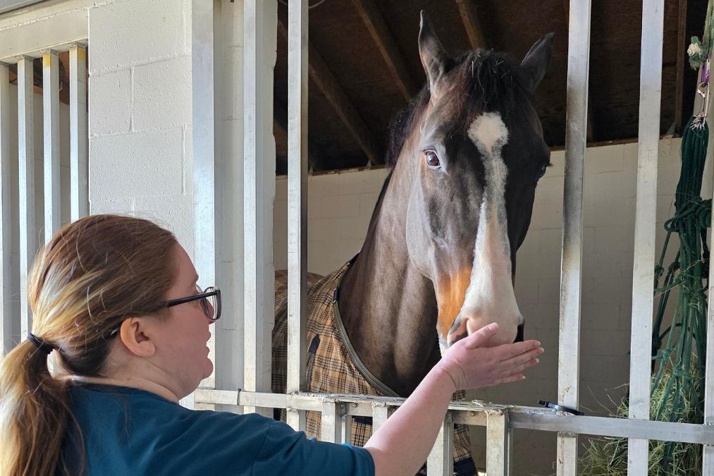 Student in teal veterinary program scrubs reaches through a stable door to pet a brown horse with a white blaze on its face.
