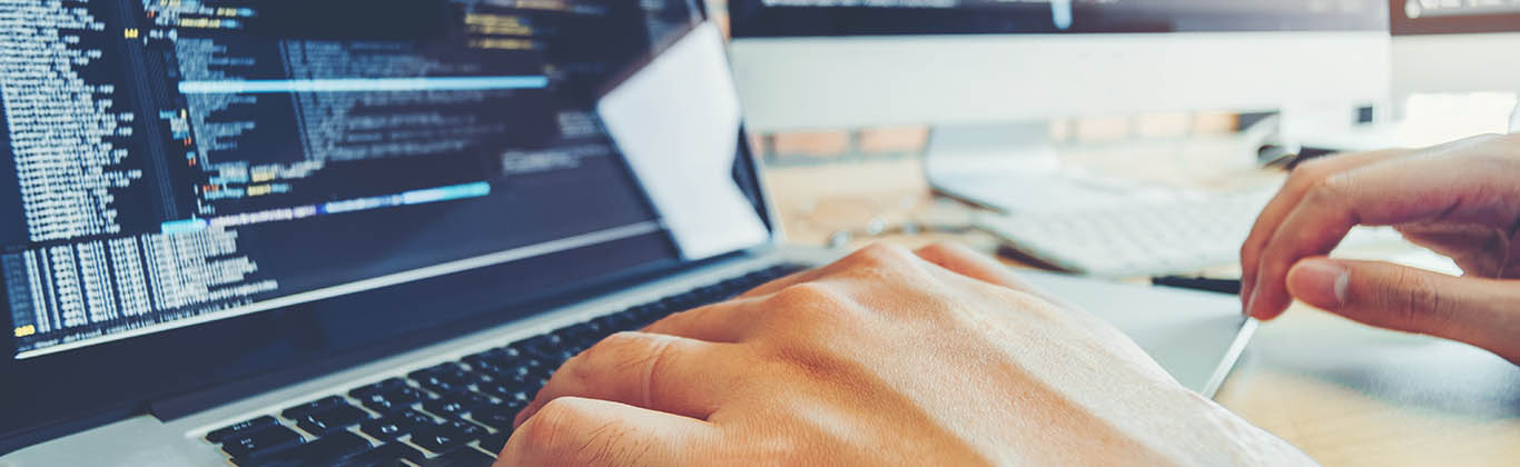 Close-up of a program developer's hands coding on a laptop.