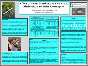Mia Hammond's poster