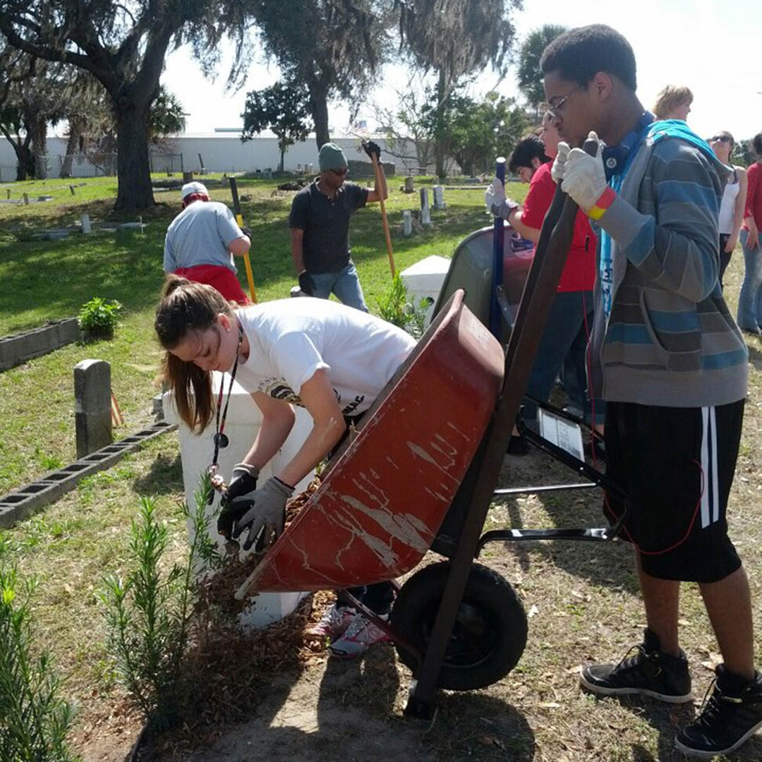 Two students tip a wheelbarrow full of mulch onto a plant.